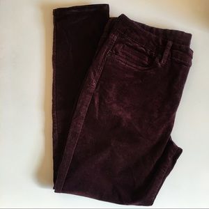 Edyson Hampton Skinny Corduroy Dark Purple Pants